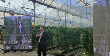 Leading scientists advocate solar greenhouses to feed growing population
