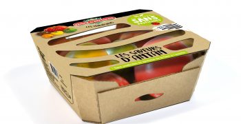 Prince de Bretagne expands sustainable tomato assortment