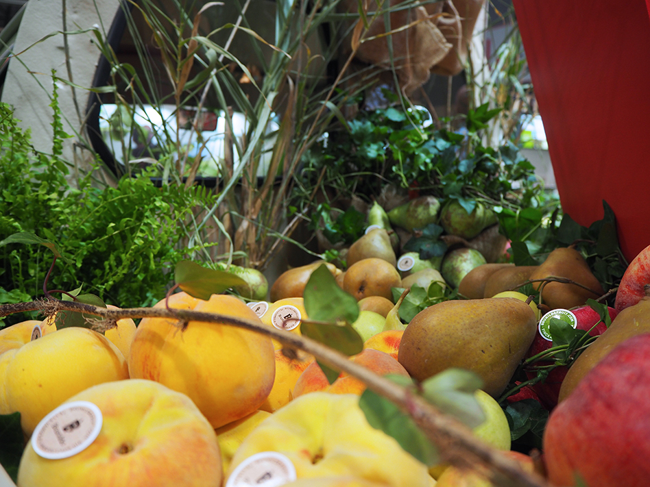 Stone fruits, apples and pears in a truck, from Brunilda fruit company (SPAIN). Copyright: Alexandra Sautois, Eurofresh Distribution.