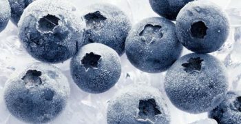 Chile and China extend frozen fruit protocol