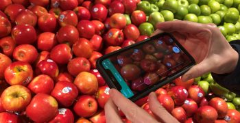Clarifruit, artificial intelligence at the service of fresh produce