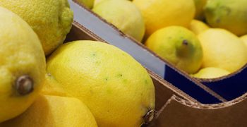 Smaller Northern Hemisphere citrus crop forecast