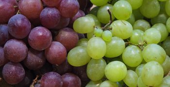 Egypt emerges from difficult grape season with optimism