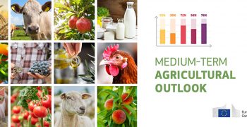 EU agricultural outlook 2021-31: sustainability and health concerns to shape agricultural markets