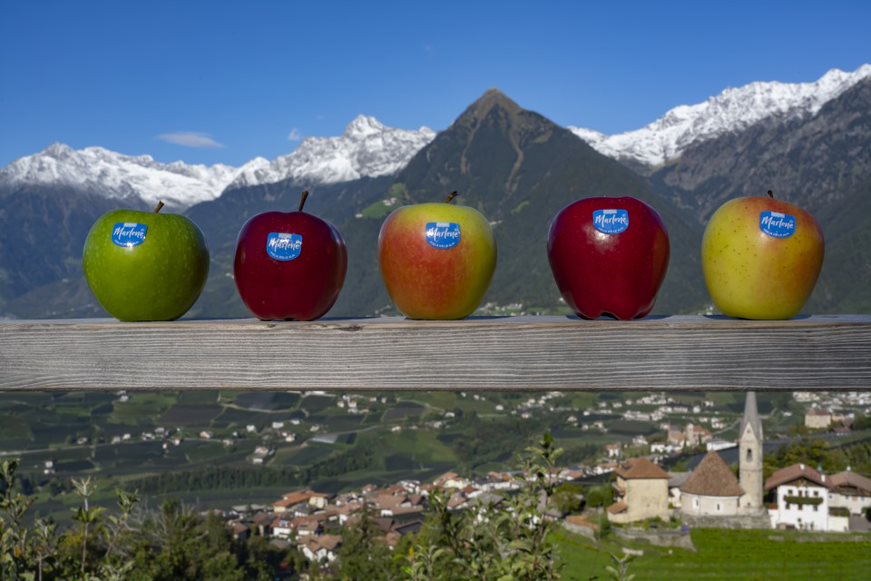 Marlene® apples. Copyright: VOG.