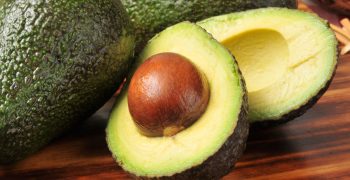 South American avocado exports to exceed 1 million tons by 2023