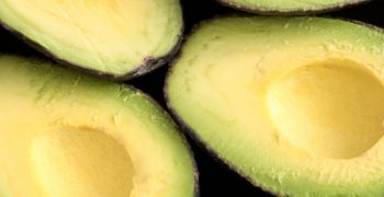 Chile expects bumper avocado crop