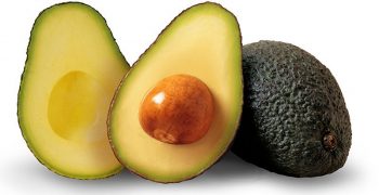Western Australia’s avocado producers target Japanese market