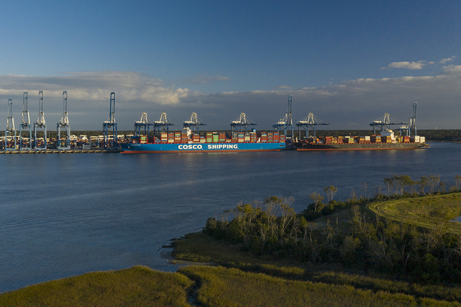 Two container ships docked at the Wando Welch Terminal (WWT) in Mount Pleasant, South Carolina, on November 19, 2020. This South Carolina Port Authority facility is South Carolina's largest container terminal with 399 acres of developed land on it’s 689 total acres, its 14 ship-to-shore container cranes and wharf are specialized to handle three neo-Pamanax ships at one time along its 3,800 foot berth length. USDA Media by Lance Cheung. Any reference to any person, or organization, or activities, products, or services related to company or organization from this web site to the web site of another party, do not constitute or imply the endorsement, recommendation, or favoring of the U.S. Government or any of its employees.
