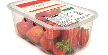 Case Packer extends Proseal´s capabilities with the berry specialists