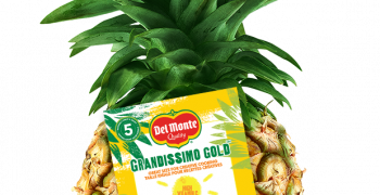 Del Monte Grandisimo Pineapple, the perfect ally for winter