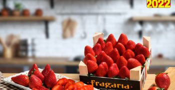 Fragaria strawberry wins Flavour of the Year Award again
