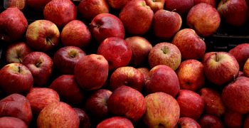 India’s apple imports double in first nine months of year