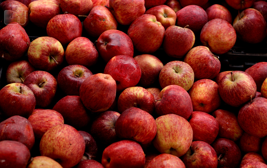 Indian apples. Copyright: Sudhamshu Hebbar, Flickr