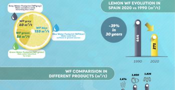 The Spanish lemon has the lowest water footprint in the fruit sector, after achieving a reduction of 39%