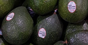 US resumes imports of Mexican avocado