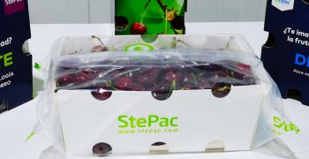 StePac’s Automated Packaging Formats Reign on the Chile- China Route