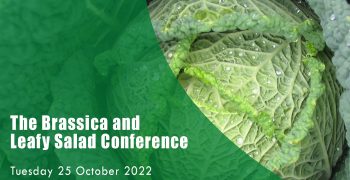Brassica & Leafy Salad Conference put back to October