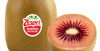New Zealand expects bumper 2022 kiwifruit crop