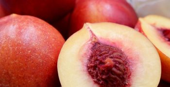 Australian peaches gain access to Vietnam