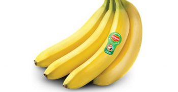 Del Monte France offers compostable labels for bananas