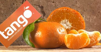 Tango Fruit redoubles promotional efforts