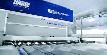 UNITEC PATENTED SORTING SOLUTIONS SUPPORT BLUEBERRY SUPPLY CHAIN