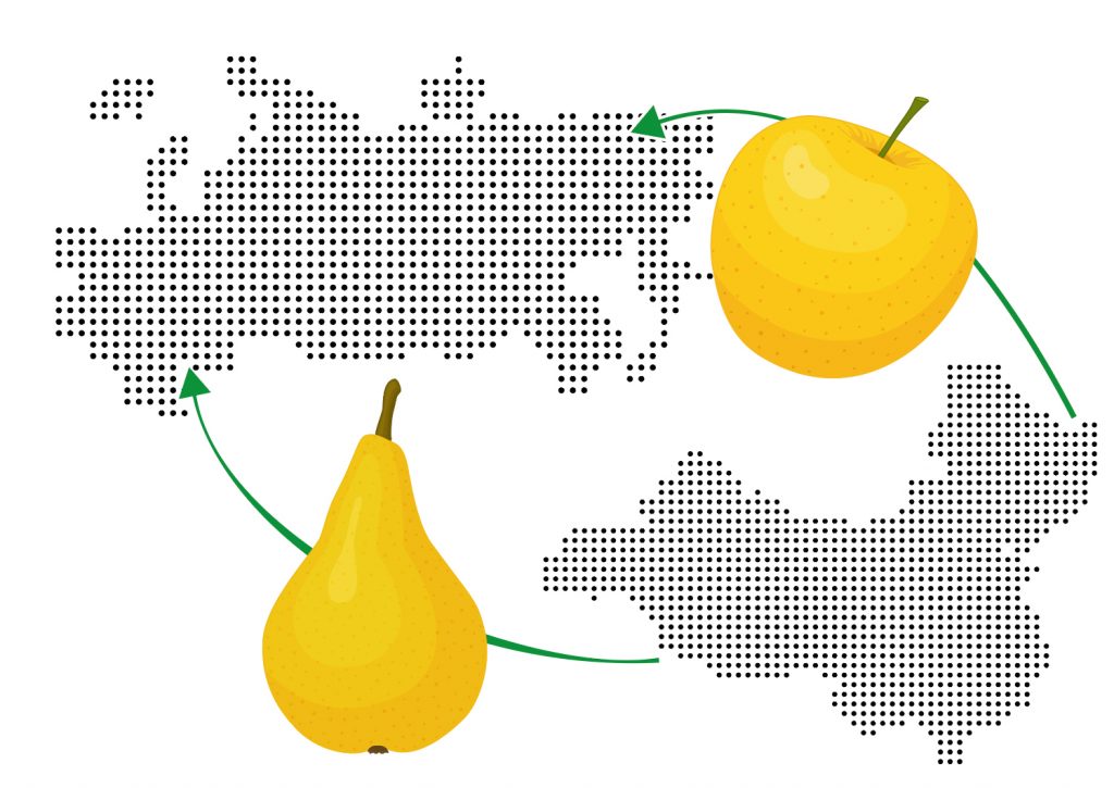 russia and china exports of apples and pears