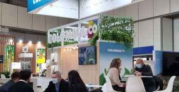 At Fruit Logistica, Colombia shows its commitment to increasingly sustainable Hass avocados, bananas, and exotic fruits 