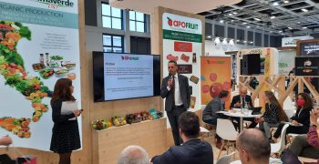Apofruit Italia’s red apricot conquers Europe