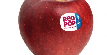 RedPop® by Marlene®: the “little big” apple lands on the markets