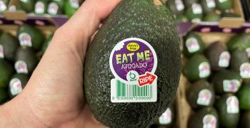 EAT ME avocados now with longer lasting Apeel protection