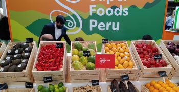 Peru’s fresh fruit and vegetables exports to grow by over 15% in 2022