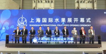 The world of fruit at Shanghai Expo 2022