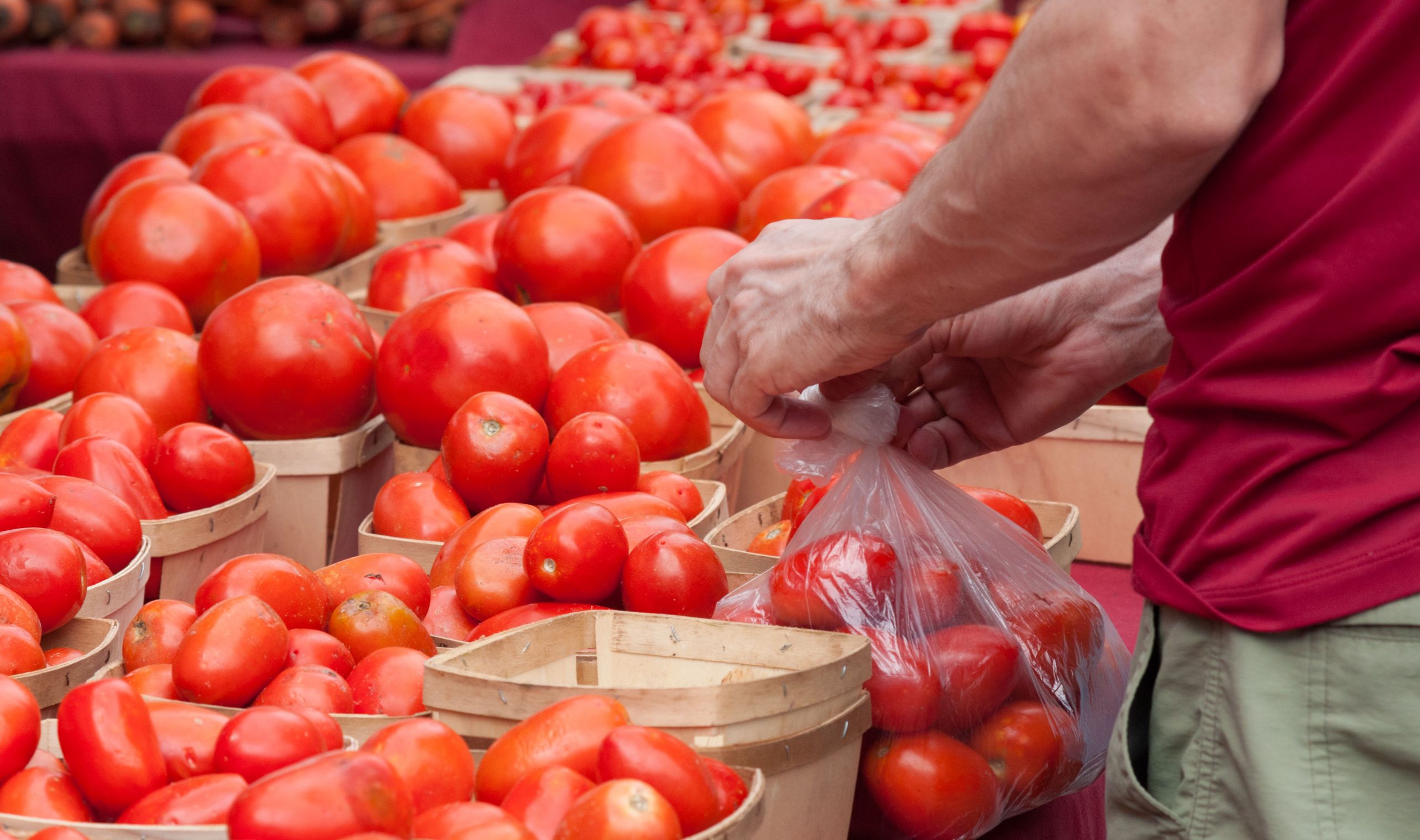 Worden Farm fresh picked organic tomato are ready for sale at the Saturday Morning Market, in St. Petersburg, FL, on April 14, 2012. Copyright: USDA.