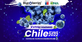XVIII International Blueberry Seminar Chile 2022