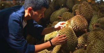 Chinese love “affair” with Durian, the most controversial fruit