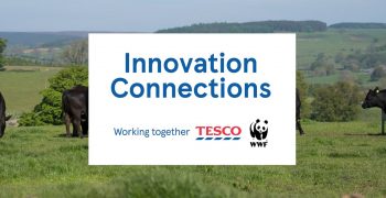 Tesco joins forces with WWF to enhance sustainability and innovation in supply chains