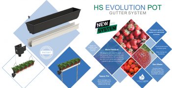 HS Evolution Pot revolutionizes strawberry cultivation in customised substrate