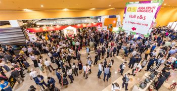 Global expectations high for November’s Asia Fruit Logistica