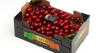 Discovering the hidden qualities of the Italian cherry with the Fruvenh project