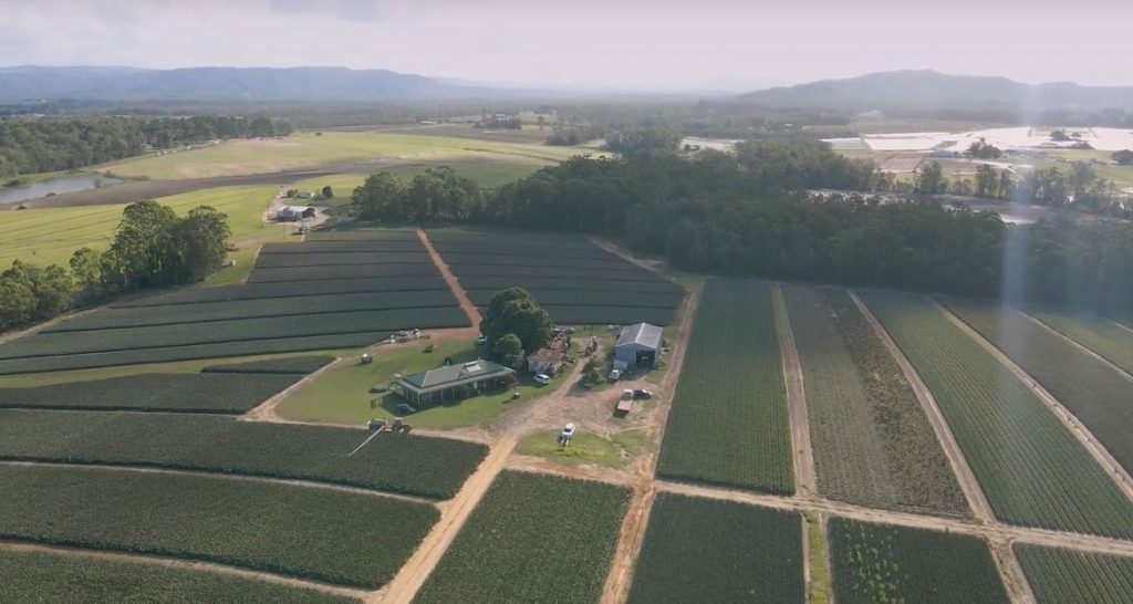 Queensland’s Fields. Copyright: Growcom Australia.