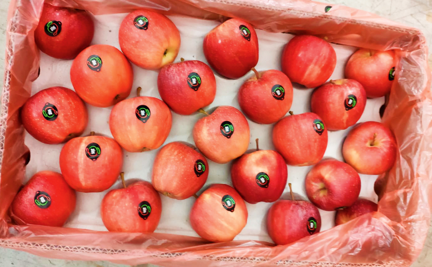 Indian apples from IG INTERNATIONAL. Copyright: IG INTERNATIONAL.