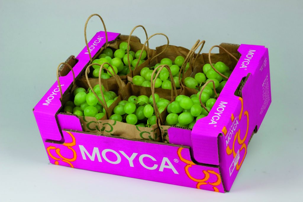 Grapes from Spanish leader, Moyca. Copyright: Moyca.