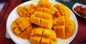 Philippines developing innovative range of mango varieties