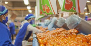 San Miguel agrees with Citri&Co to transfer its fresh fruit business in South Africa and Perú to strategically focus on the lemon industrial business