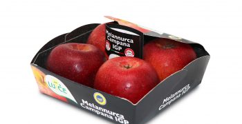 Luce <em>supplies PGI Melannurca Campana Apple</em>