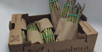 Biosphera <em>ramps up production of organic green asparagus</em>