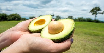 Colombia’s avocado industry goes <strong>from strength to strength</strong>