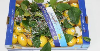 La Costiera <em>keeps developing line of organic lemons</em>